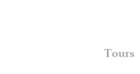 Whistling Duck tours logo