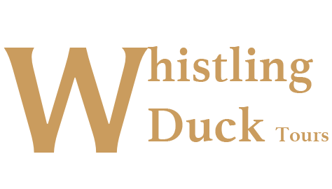 Whistling Duck tours logo gold